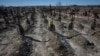 Graves of unidentified people killed by Russian soldiers during occupation of the Bucha town, are seen at the town's cemetery, before the first anniversary of its liberation, amid Russia's attack on Ukraine, in the town of Bucha, outside Kyiv, Ukraine March 30, 2023